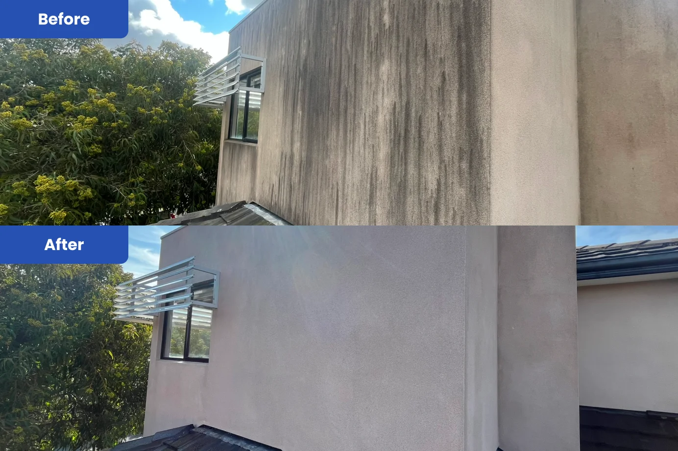 Before and After House Wash