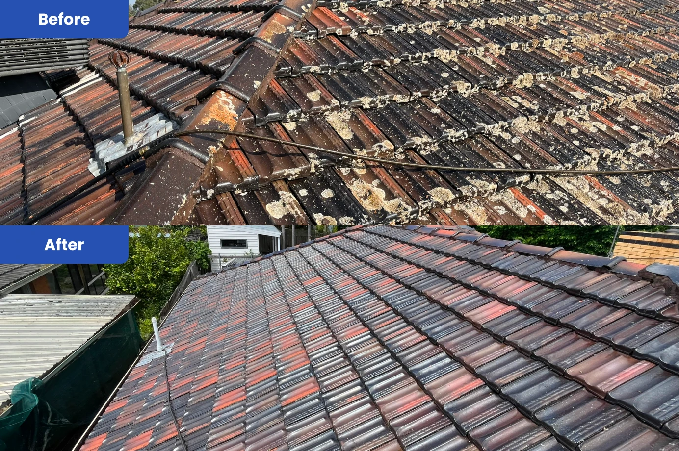 Before and after of roof before was dirty after was clean